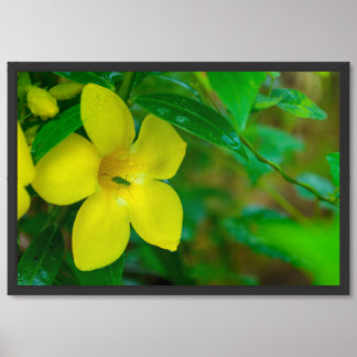 Harmony in Yellow and Green Framed Art
