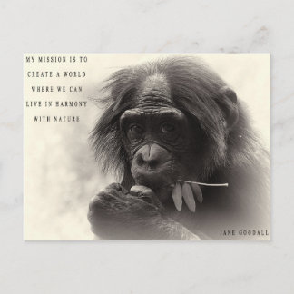 Harmony With Nature Postcard