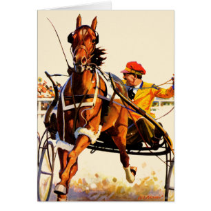 Harness Race Cards