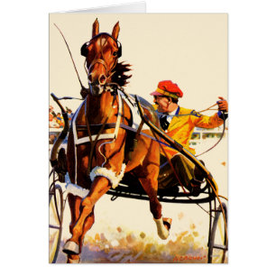 Harness Race Cards