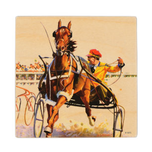 Harness Race Wood Coaster