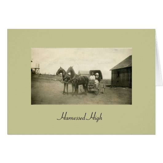 Harnessed High (Front Horizontal)