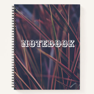 Harnessing Optimism for Success" Notebook