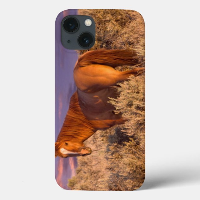 Harney County Wild horse stands alert Case-Mate iPhone Case (Back)