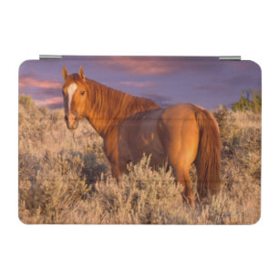 Harney County Wild horse stands alert iPad Mini Cover