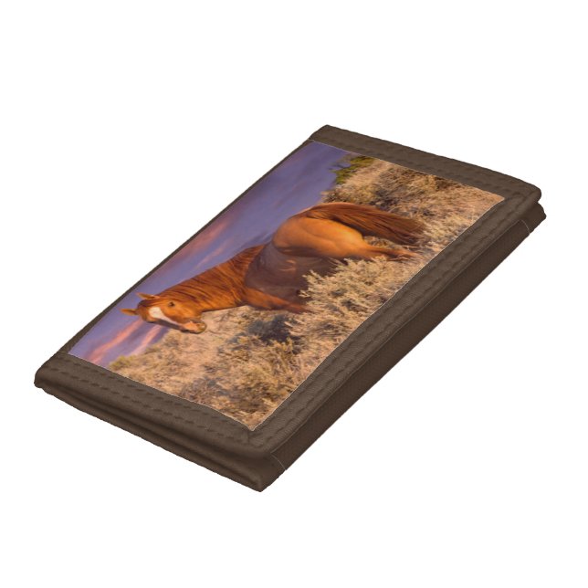 Harney County Wild horse stands alert Trifold Wallet (Bottom)
