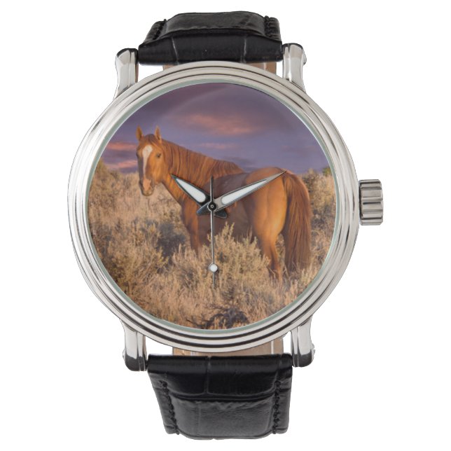 Harney County Wild horse stands alert Watch (Front)