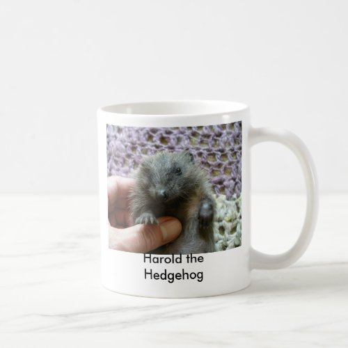 Harold the Hedgehog Coffee Mug