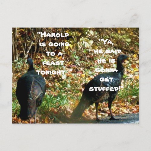 HAROLD THE TURKEY GETS STUFFED postcard