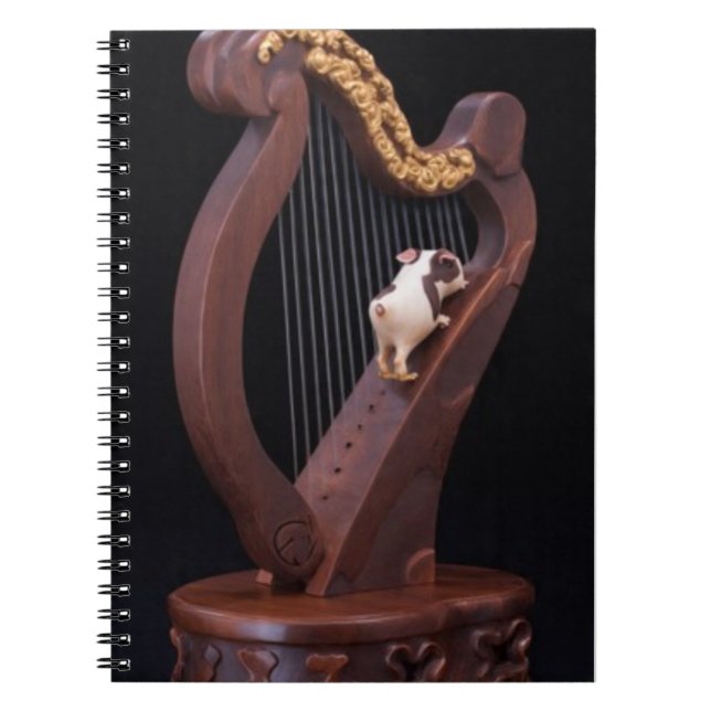 Harp & Mini Explorer Notebook (Front)