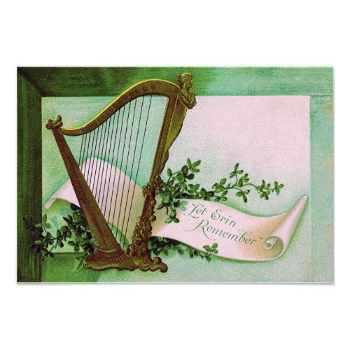 Harp of Erin Shamrock Green Photo Print