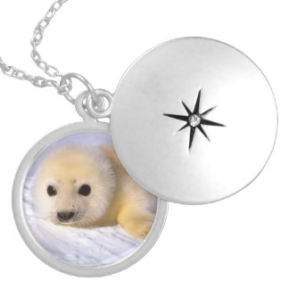 Harp Seal Locket