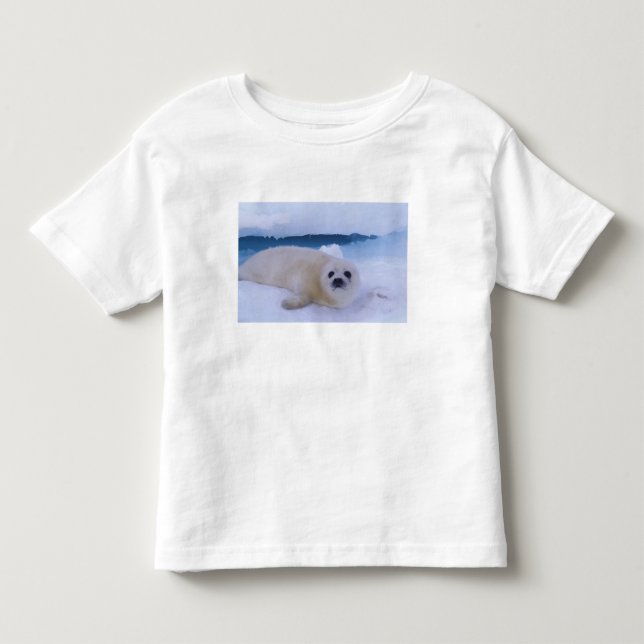 Harp Seal North America, Canada, Quebec Toddler T-shirt (Front)