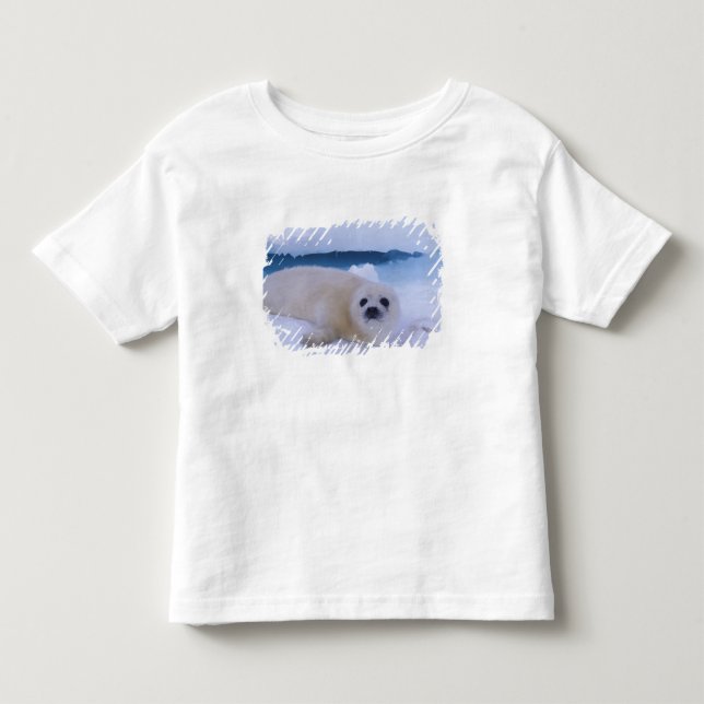 Harp Seal North America, Canada, Quebec Toddler T-shirt (Front)