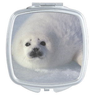 Harp seal Phoca groenlandica) A week-old harp Makeup Mirror