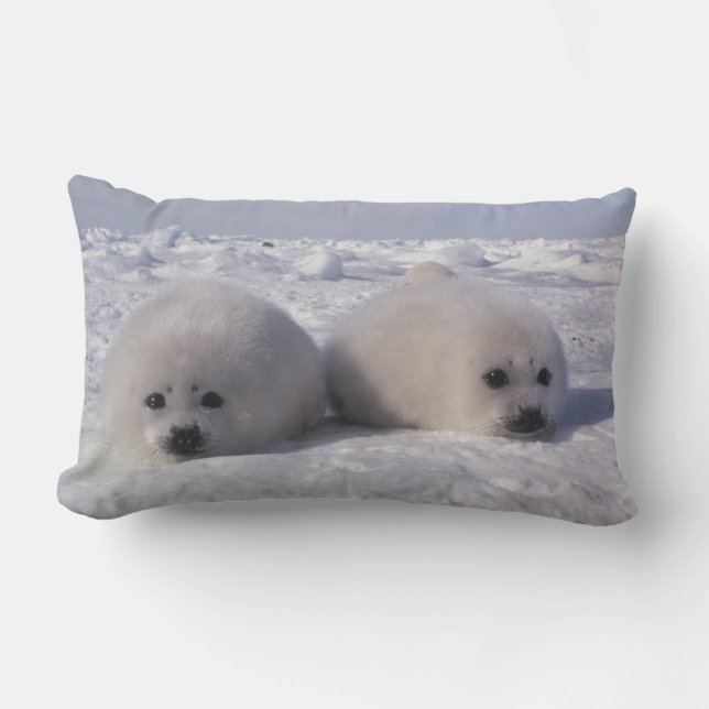 Harp seal (Phoca groenlandica) Harp seal pups Lumbar Pillow (Front)