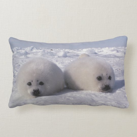 harp seal pillow