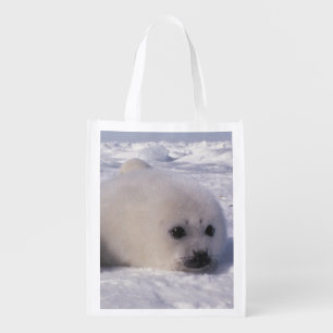 Harp seal (Phoca groenlandica) Harp seal pups Reusable Grocery Bag