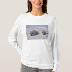 Harp seal (Phoca groenlandica) Harp seal pups T-Shirt