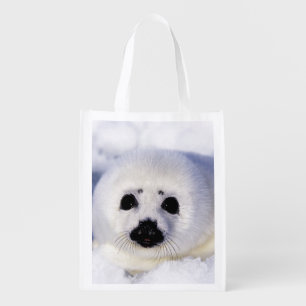 Harp seal pup ice Gulf of St. Lawrence, Reusable Grocery Bag