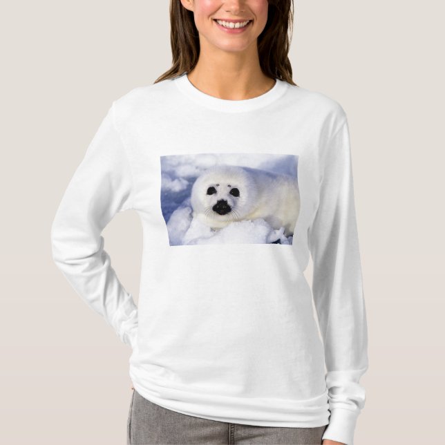 Harp seal pup ice Gulf of St. Lawrence, T-Shirt (Front)