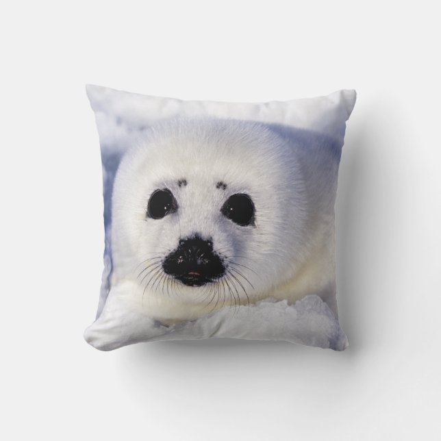 Harp seal pup ice Gulf of St. Lawrence, Throw Pillow (Front)