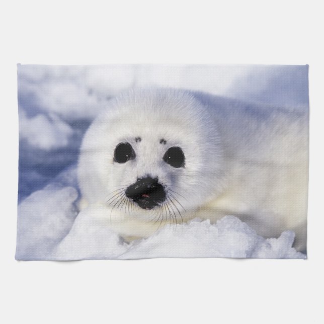 Harp seal pup ice Gulf of St. Lawrence, Towel (Horizontal)