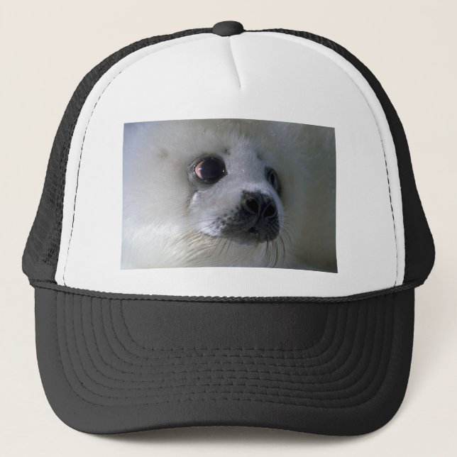 Harp seal pup trucker hat (Front)
