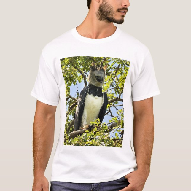 Harpy Eagle, adult T-Shirt (Front)