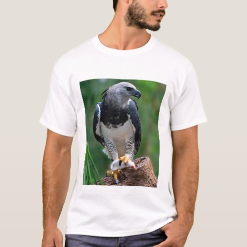 Harpy Eagle adult T_Shirt