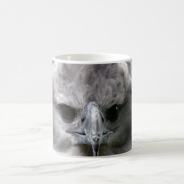 Harpy Eagle Coffee Mug (Center)