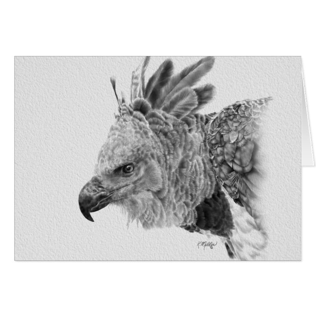 Harpy Eagle Drawing Cards (Front Horizontal)