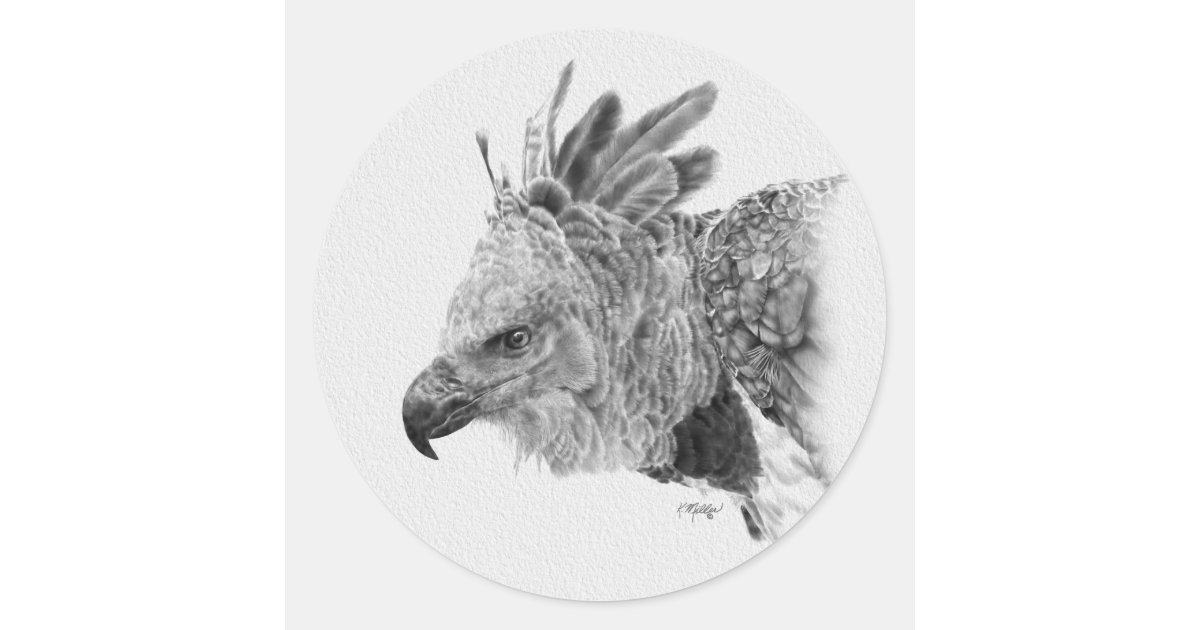 Harpy Eagle - Harpy Eagle - Sticker