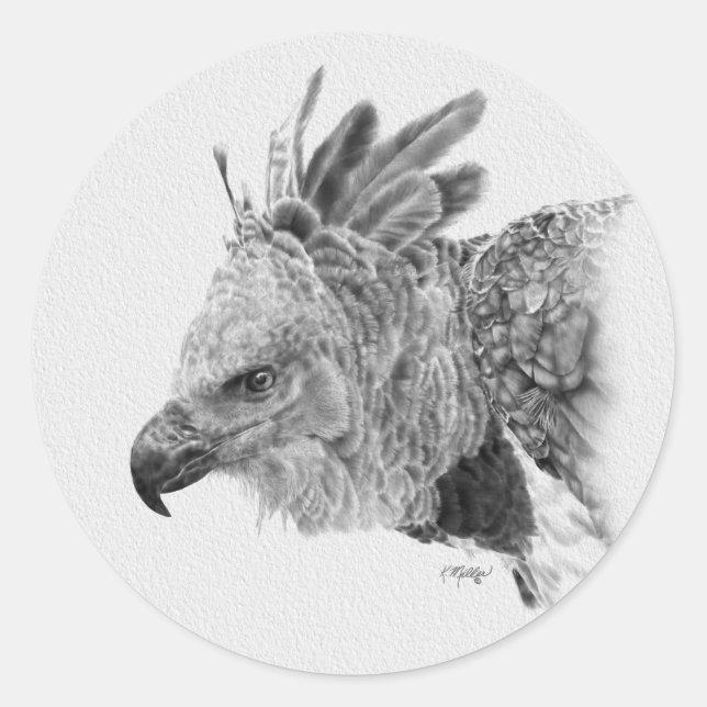 Harpy Eagle Drawing Classic Round Sticker (Front)