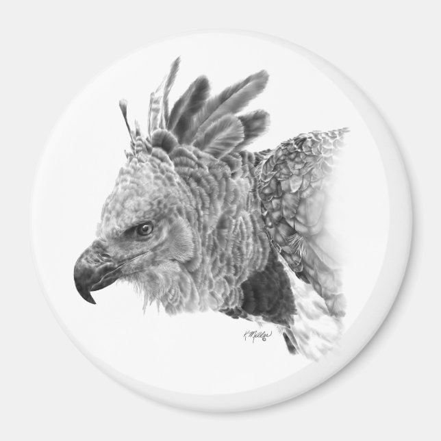 Harpy Eagle Drawing Magnet (Front)
