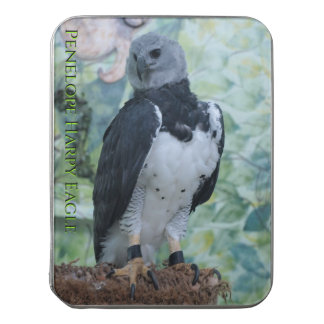 Harpy Eagle in Captivity Jigsaw Puzzle