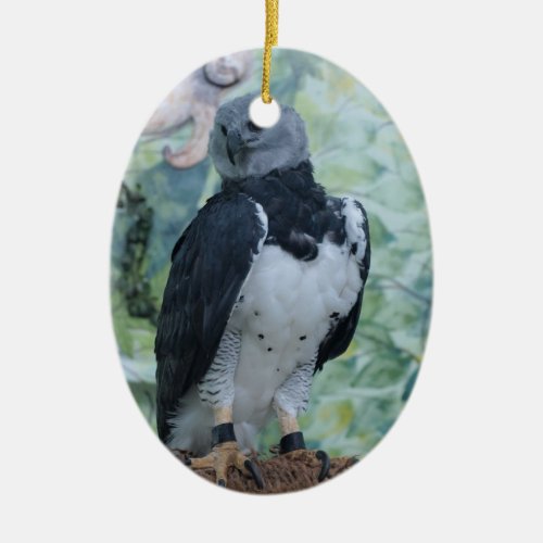 Harpy Eagle Standing Regal Ceramic Ornament