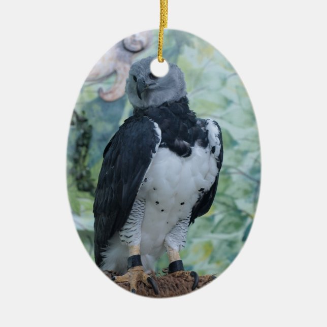 Harpy Eagle Standing Regal Ceramic Ornament (Front)