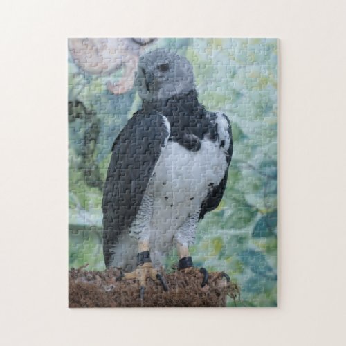 Harpy Eagle Still Jigsaw Puzzle