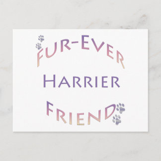 Harrier Furever Postcard