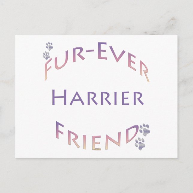 Harrier Furever Postcard (Front)