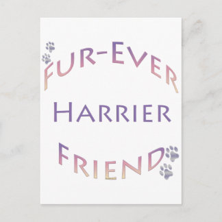 Harrier Furever Postcard
