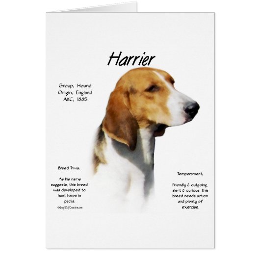 Harrier History Design Cards (Front)