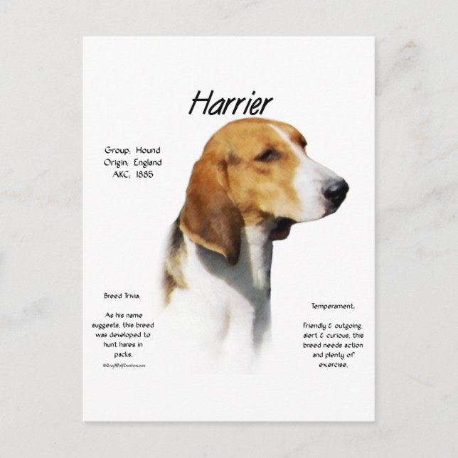 Harrier History Design Postcard (Front)