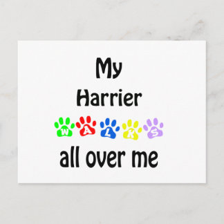 Harrier Walks Design Postcard