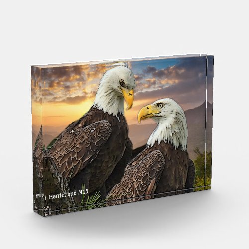 Harriet and M15  Eagle Love Photo Block
