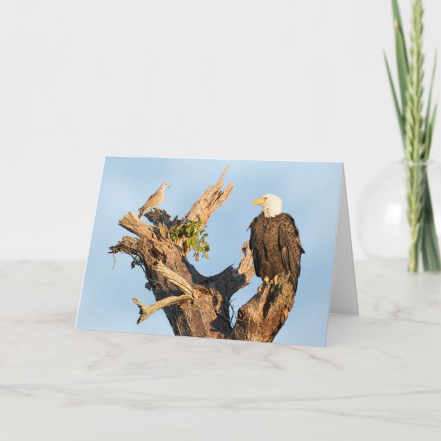 Harriet and the Dove Holiday Card (Front)