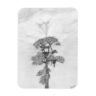 HARRIET M HOME STORY OF FAMILY TREE OZZIE WATCHES MAGNET