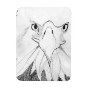 HARRIET OZZIE M15 Es HOME STORY OF FAMILY TREE MOM Magnet