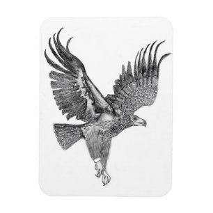 HARRIET OZZIE M HOME STORY OF FAMILY TREE E8 SOAR MAGNET